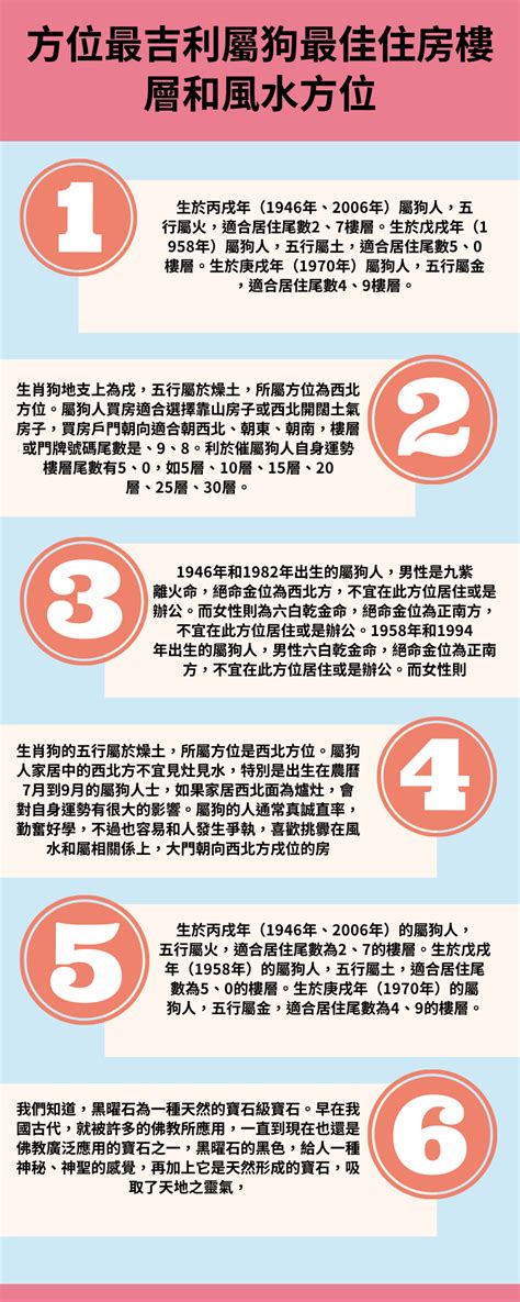 屬狗方位|屬狗最佳住房樓層和風水方位